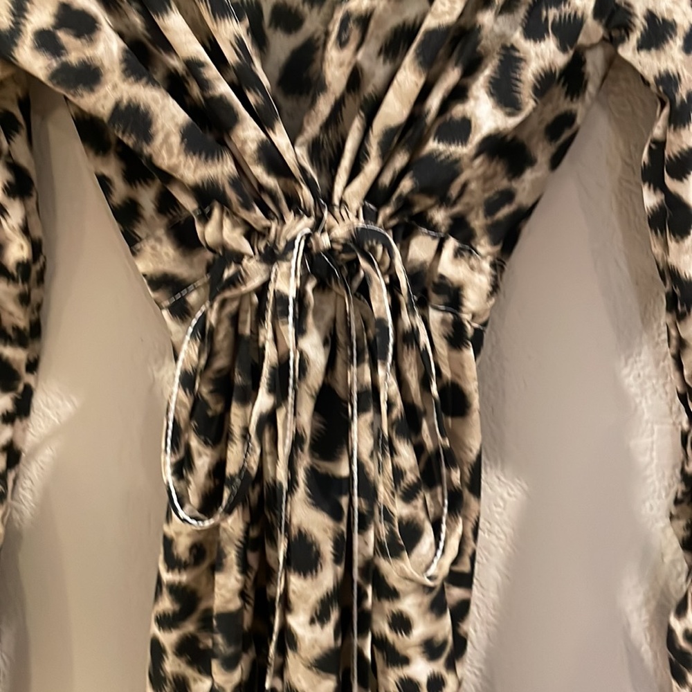 Leopard Print Robe - Picture 3 of 7
